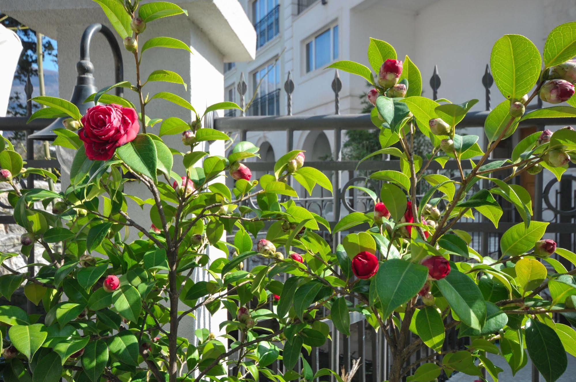 Oaza Hotel